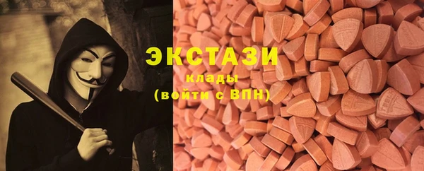 хмурый Аркадак
