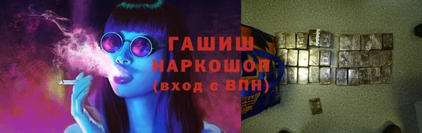 хмурый Аркадак