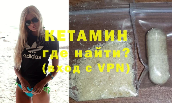 хмурый Аркадак