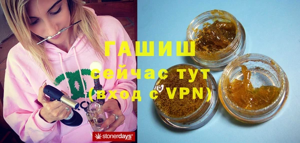 хмурый Аркадак