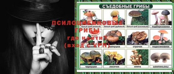 хмурый Аркадак