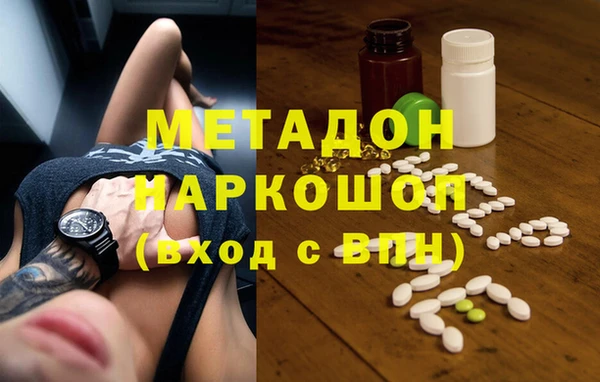 хмурый Аркадак