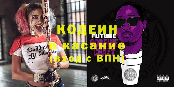 хмурый Аркадак