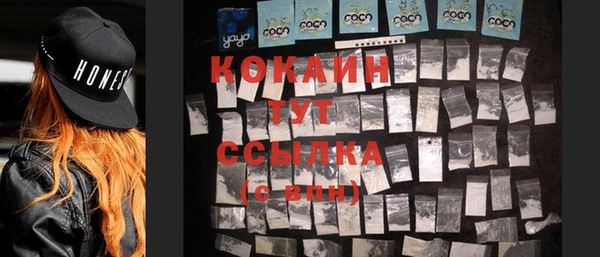 хмурый Аркадак