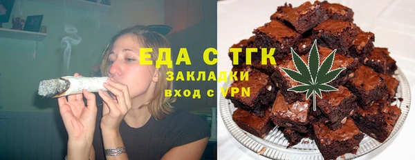 хмурый Аркадак